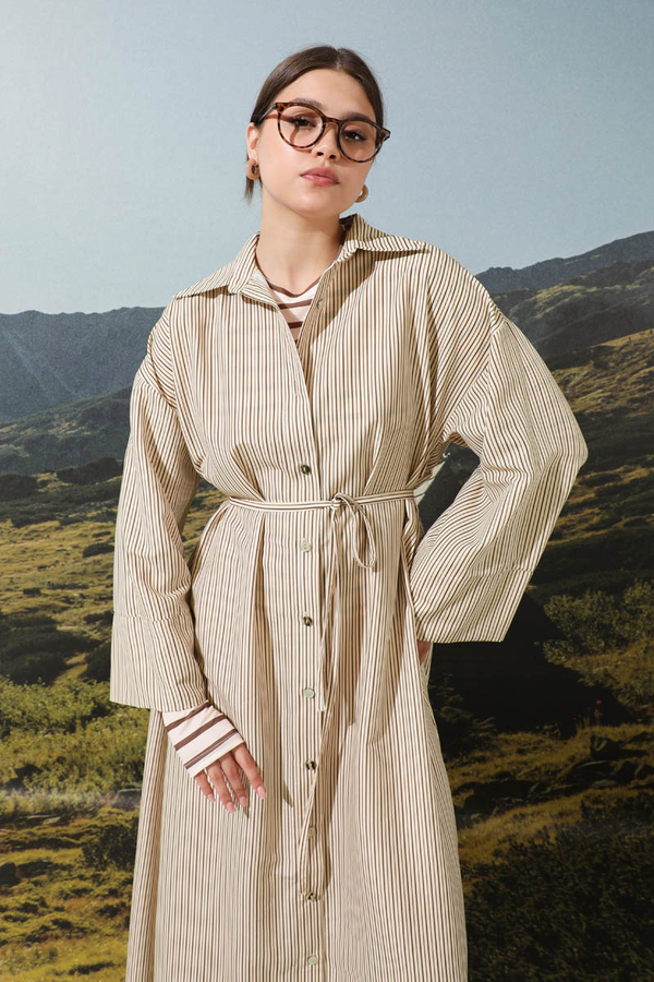 Çizgili Poplin Gömlek Elbise Kahverengi - 4