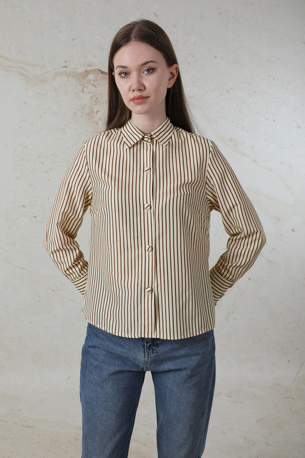 Çizgili Poplin Kısa Gömlek Kahverengi - 4