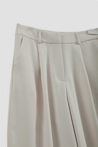 Tek Pileli Pantolon Taş - 10