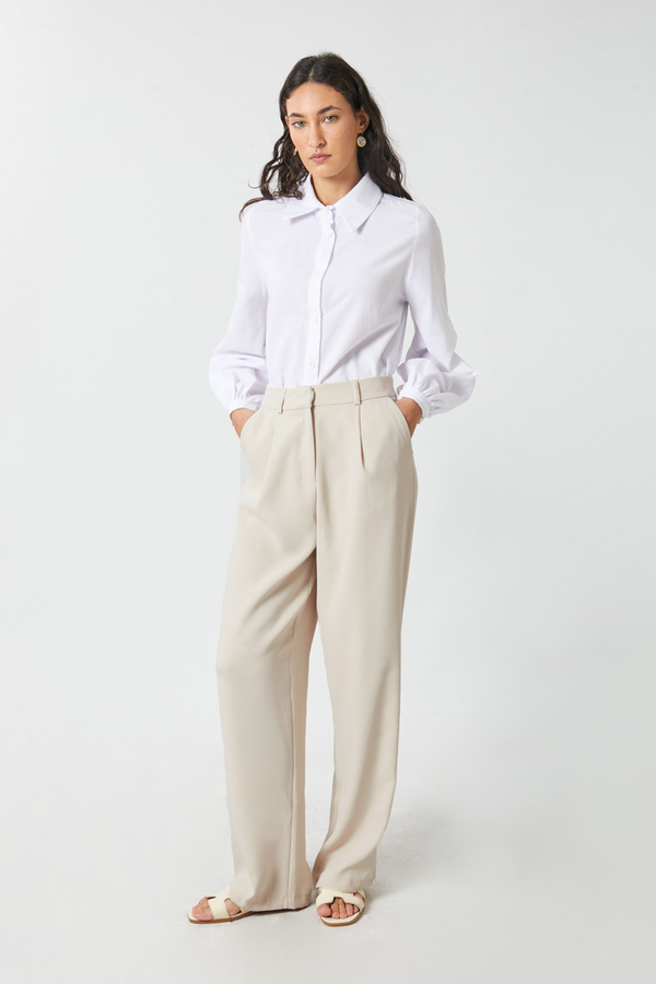 Tek Pileli Pantolon Taş - 4