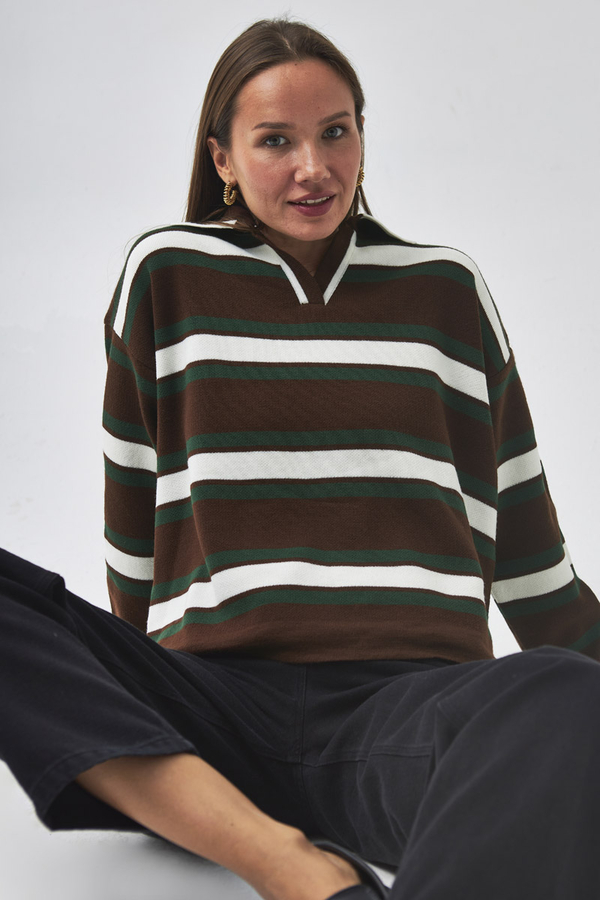 triped Polo Sweater Brown 
